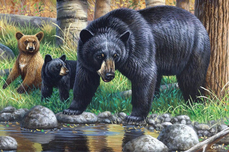 Bear With Cubs