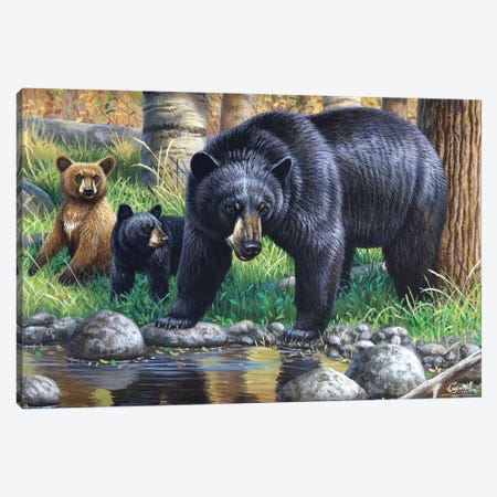 Bear With Cubs Canvas Print #CYT9} by Cynthie Fisher Canvas Art Print
