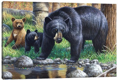 Bear With Cubs Canvas Art Print - Cynthie Fisher