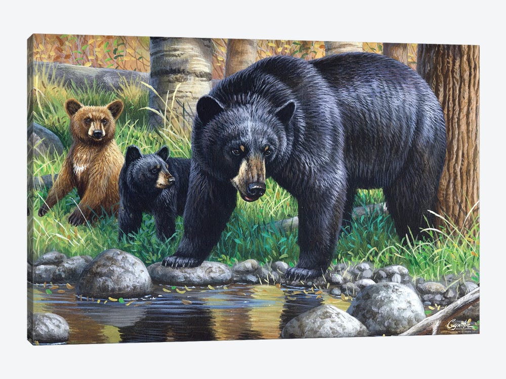 Bear With Cubs by Cynthie Fisher 1-piece Canvas Print