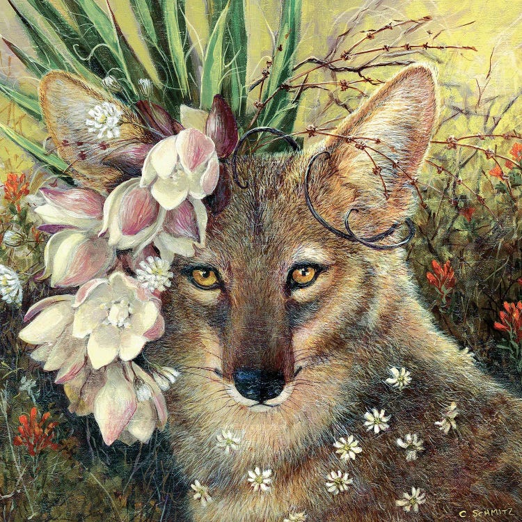 Death Valley Beauty by Carolyn Schmitz wall art