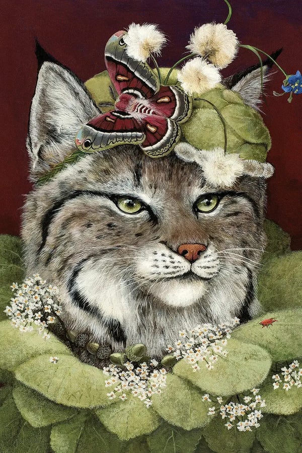 Carolyn Schmitz