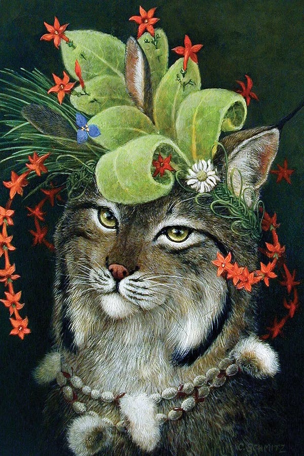 Carolyn Schmitz