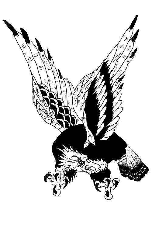 Eagle by Nick Cocozza wall art