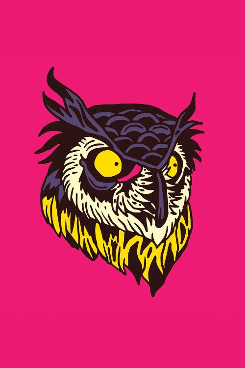 Owl