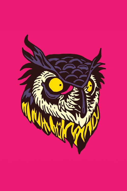 Owl by Nick Cocozza wall art