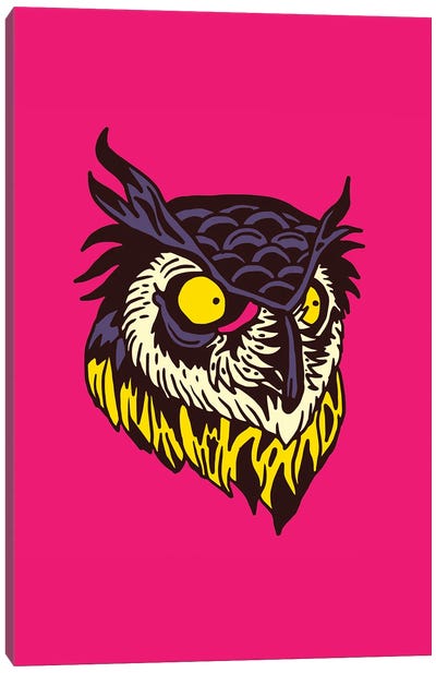 Owl Canvas Art Print - Nick Cocozza
