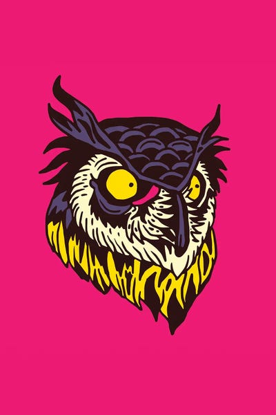 Nick Cocozza: Owl by Nick Cocozza