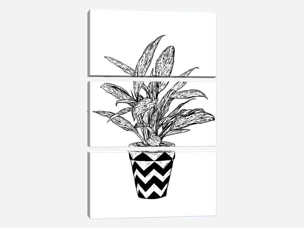 Chinese Evergreen by Nick Cocozza 3-piece Canvas Wall Art