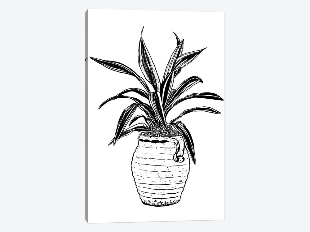Dracaena Plant by Nick Cocozza 1-piece Art Print