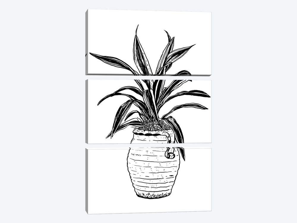 Dracaena Plant by Nick Cocozza 3-piece Art Print