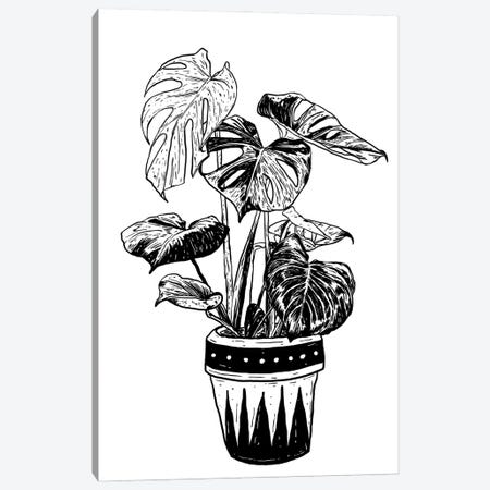 Monstera plant Canvas Print #CZA122} by Nick Cocozza Canvas Art
