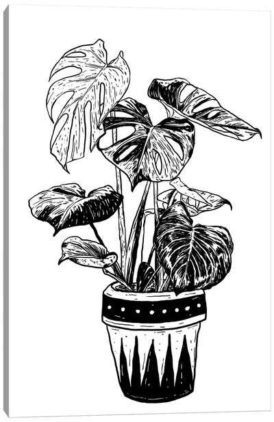 Monstera plant Canvas Art Print