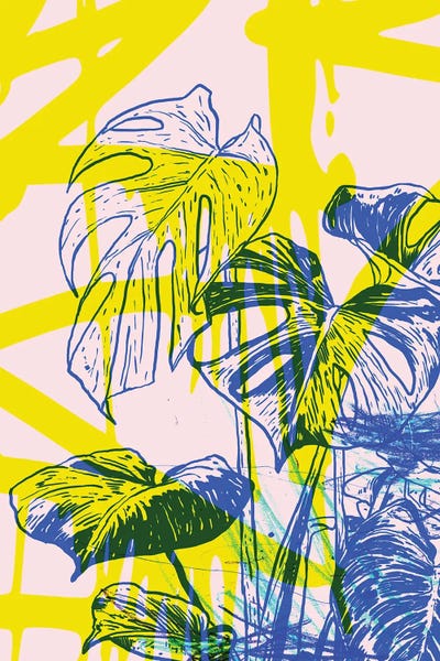 Monsteras: Monstera by Nick Cocozza