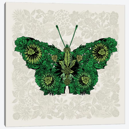Butterfly Green Canvas Print #CZC126} by Czar Catstick Canvas Art