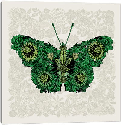 Butterfly Green Canvas Art Print - Czar Catstick