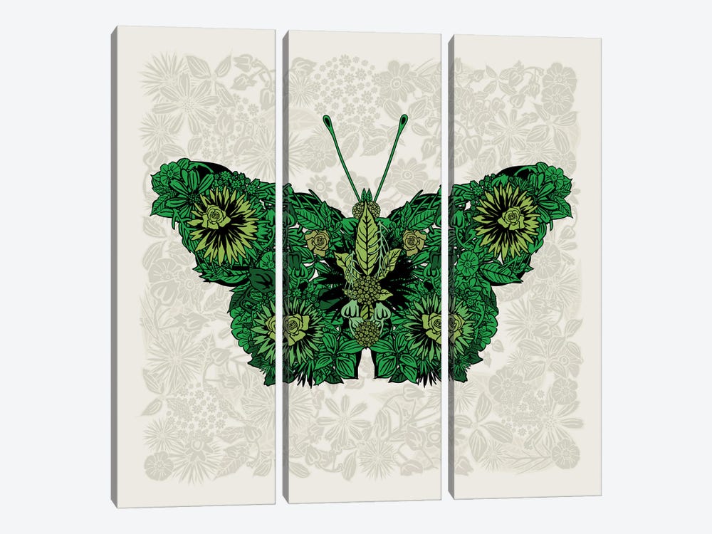 Butterfly Green by Czar Catstick 3-piece Canvas Artwork