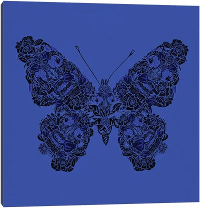 Papillon Bleu Canvas Art Print - Czar Catstick