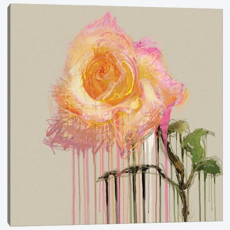 A Rose By Any Other Name (Cream) Canvas Print #CZC1} by Czar Catstick Canvas Artwork
