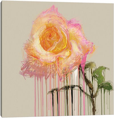 A Rose By Any Other Name (Cream) Canvas Art Print - Czar Catstick