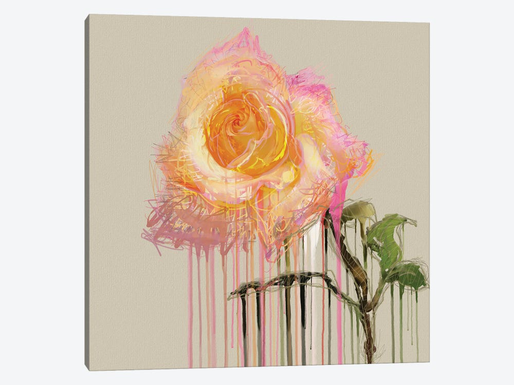 A Rose By Any Other Name (Cream) by Czar Catstick 1-piece Canvas Art