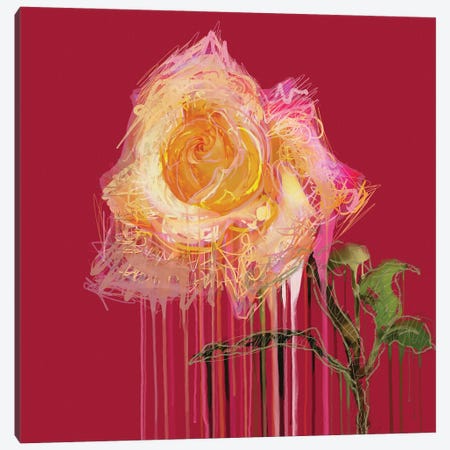 A Rose By Any Other Name (Red) Canvas Print #CZC2} by Czar Catstick Canvas Art