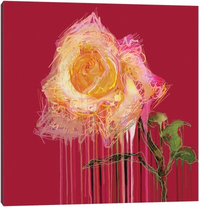 A Rose By Any Other Name (Red) Canvas Art Print