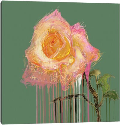 New Rose (on Green) Canvas Art Print - Czar Catstick