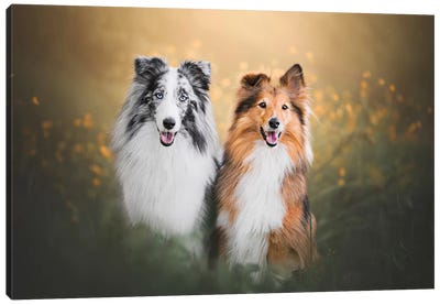 What a Couple! Canvas Art Print - Pet Industry