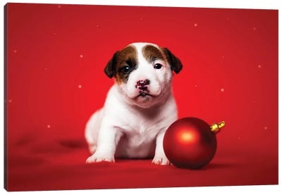 Christmas Puppy Canvas Art Print - Christmas Animal Art