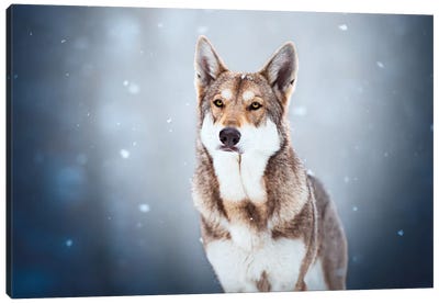 In The Snow Canvas Art Print - Pet Industry