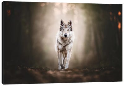 In The Wood Canvas Art Print - Pet Industry