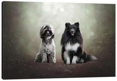 Two Little Rascals Canvas Art Print - Dog Photography