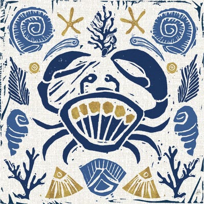 Primitive Sea VII by Daphne Brissonnet framed canvas print