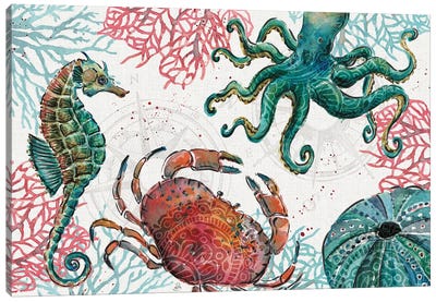 Ocean Finds I Canvas Art Print - Crab Art