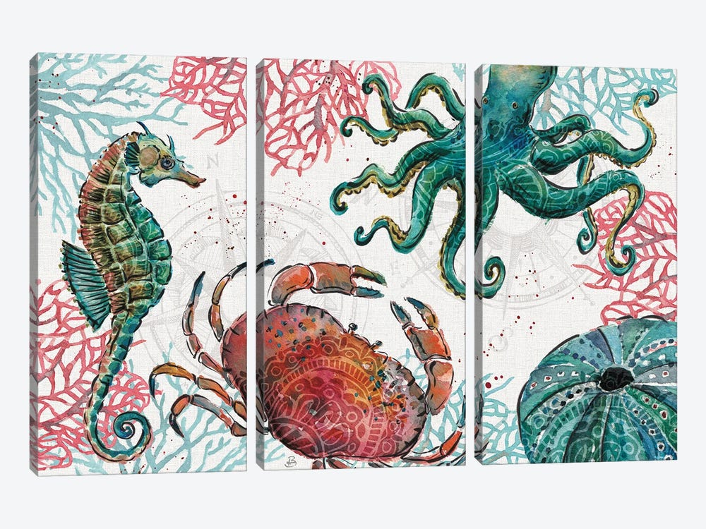 Ocean Finds I by Daphne Brissonnet 3-piece Canvas Print
