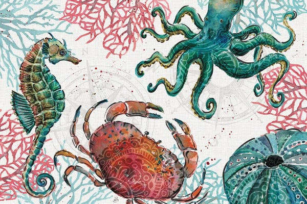 Kids Ocean Life Art: Ocean Finds I by Daphne Brissonnet