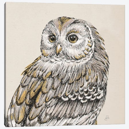 Beautiful Owls III Canvas Print #DAB162} by Daphne Brissonnet Canvas Print