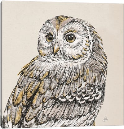 Beautiful Owls III Canvas Art Print - Daphne Brissonnet
