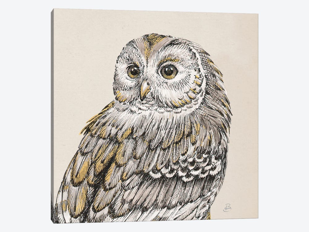 Beautiful Owls III by Daphne Brissonnet 1-piece Canvas Art