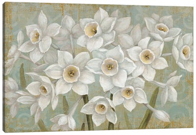 Pure II Canvas Art Print - Daffodil Art