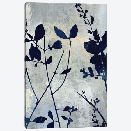 Nature Blue Silhouette I Canvas Print #DAC104} by Danielle Carson Canvas Print