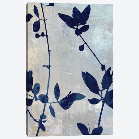 Nature Blue Silhouette II Canvas Print #DAC105} by Danielle Carson Art Print