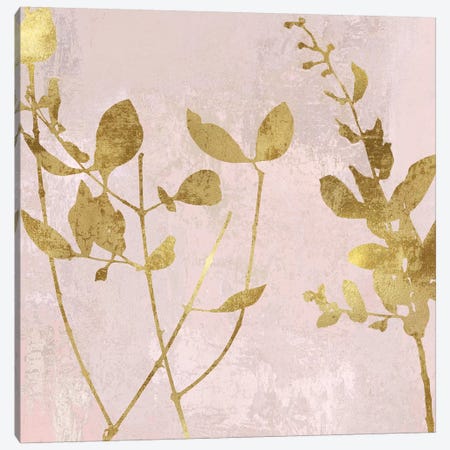 Nature Gold on Pink Blush II Canvas Print #DAC110} by Danielle Carson Canvas Print