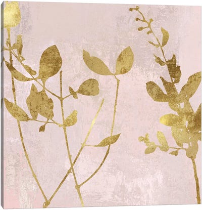 Nature Gold on Pink Blush II Canvas Art Print
