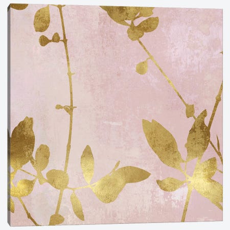 Nature Gold on Pink Blush III Canvas Print #DAC111} by Danielle Carson Canvas Art Print
