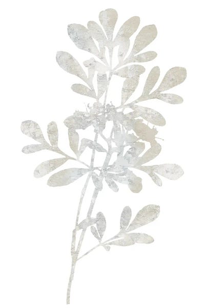 Natural Nature II by Danielle Carson canvas print