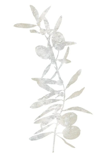 Natural Nature IV by Danielle Carson metal wall art