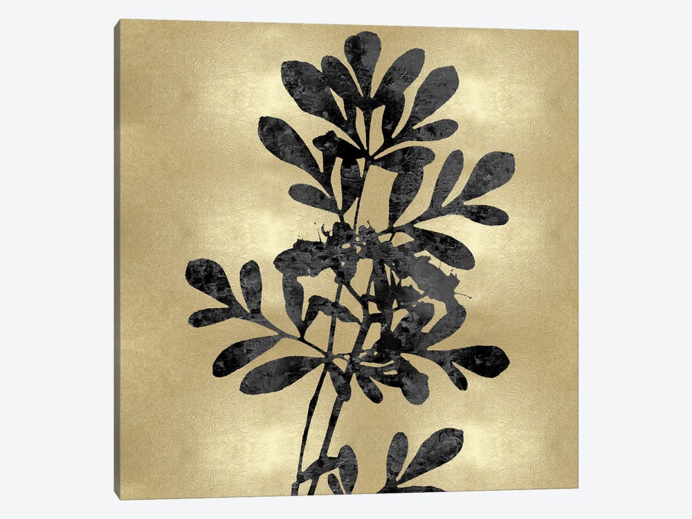 Nature Black On Gold II by Danielle Carson 1-piece Canvas Artwork