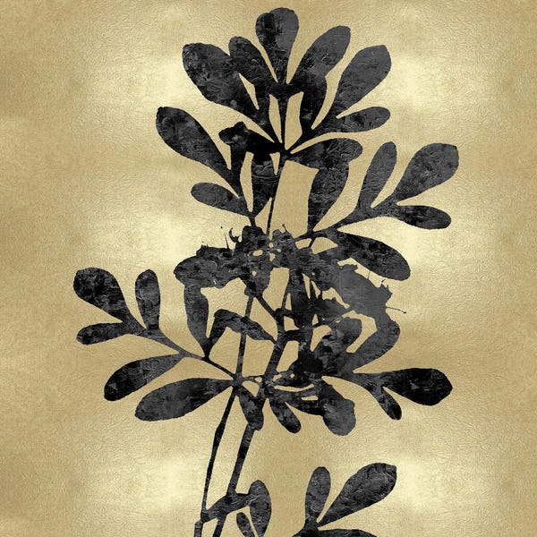 Black & White & Gold: Nature Black On Gold II by Danielle Carson